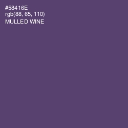 #58416E - Mulled Wine Color Image